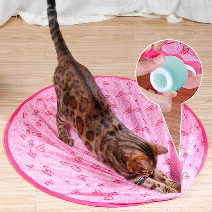 Smart Electric Spinning Cat Toy Ball und Pink Hunting Set