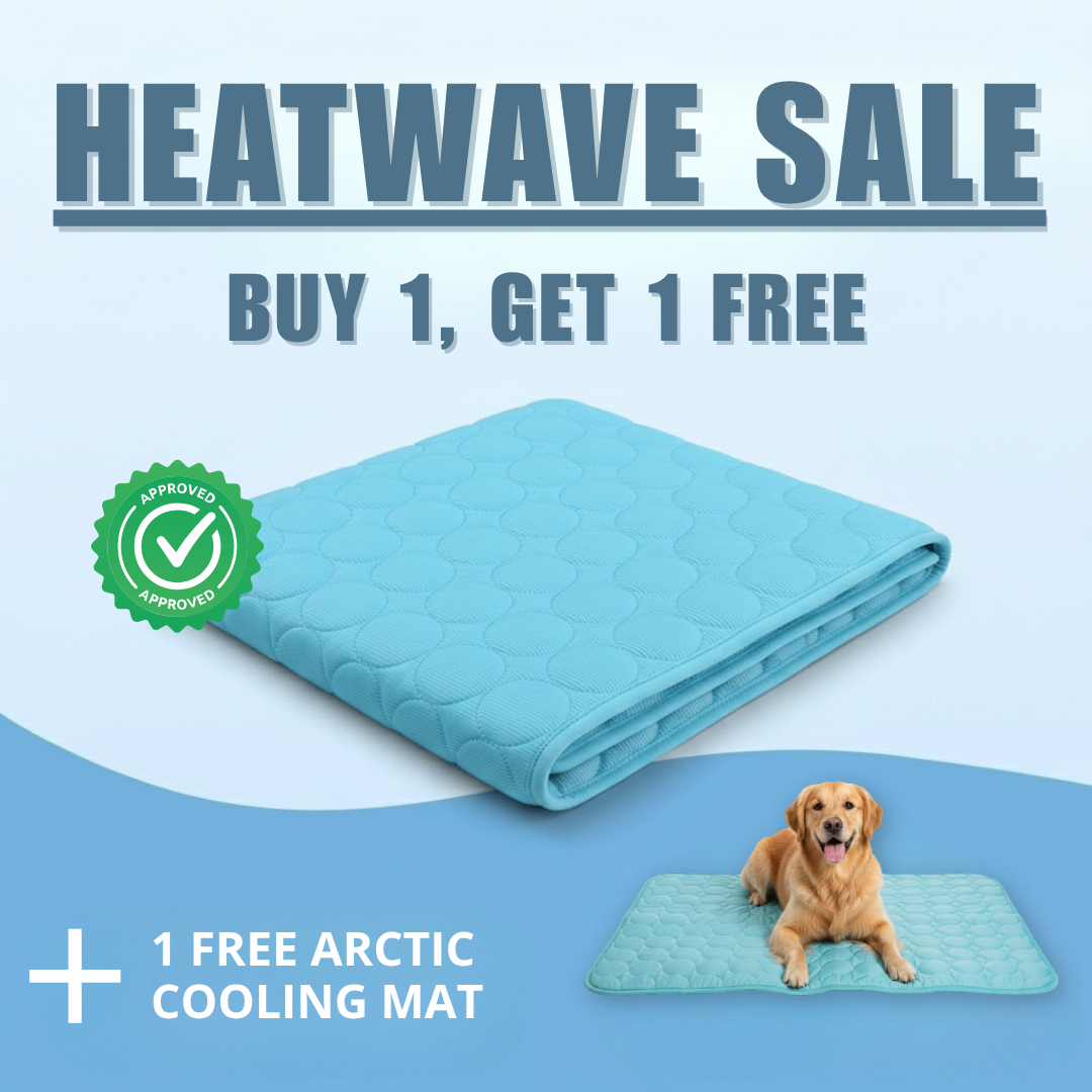 Keep Your Dog Cool and Comfy! 🧊——Cooling Dog Mat