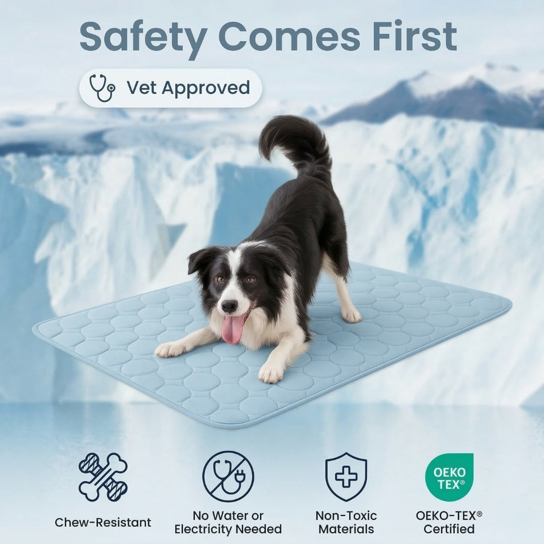 Keep Your Dog Cool and Comfy! 🧊——Cooling Dog Mat