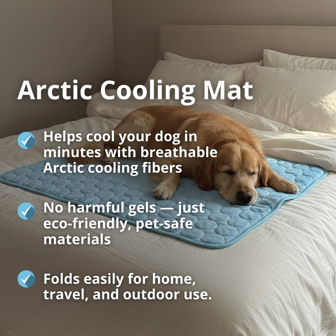 Keep Your Dog Cool and Comfy! 🧊——Cooling Dog Mat