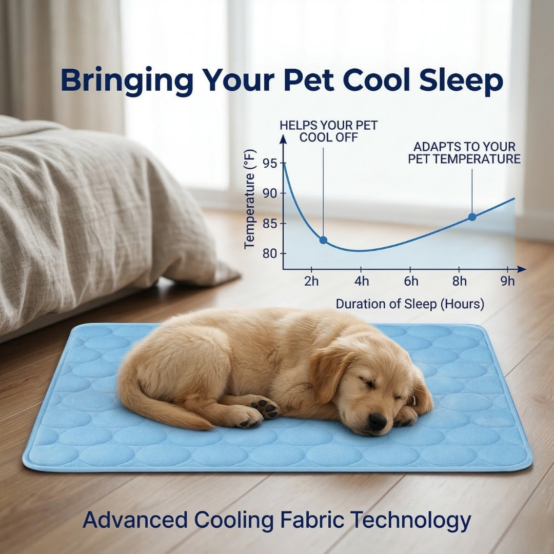Keep Your Dog Cool and Comfy! 🧊——Cooling Dog Mat