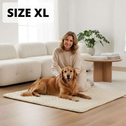 Keep Your Dog Cool and Comfy! 🧊——Cooling Dog Mat