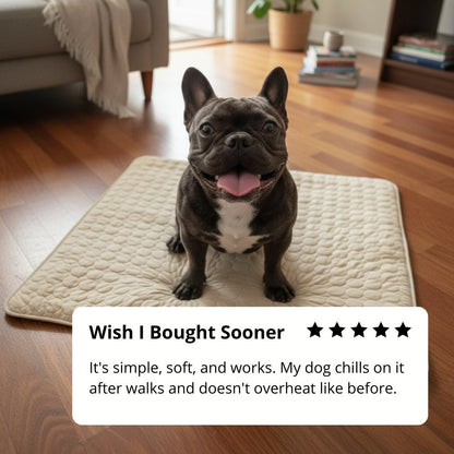 Keep Your Dog Cool and Comfy! 🧊——Cooling Dog Mat