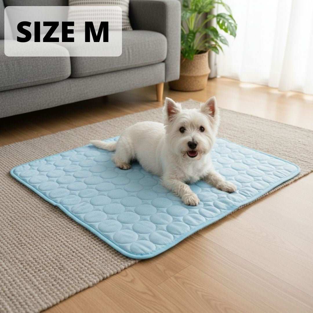 Keep Your Dog Cool and Comfy! 🧊——Cooling Dog Mat