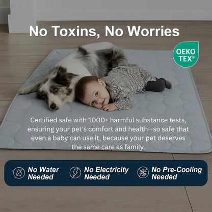 Keep Your Dog Cool and Comfy! 🧊——Cooling Dog Mat
