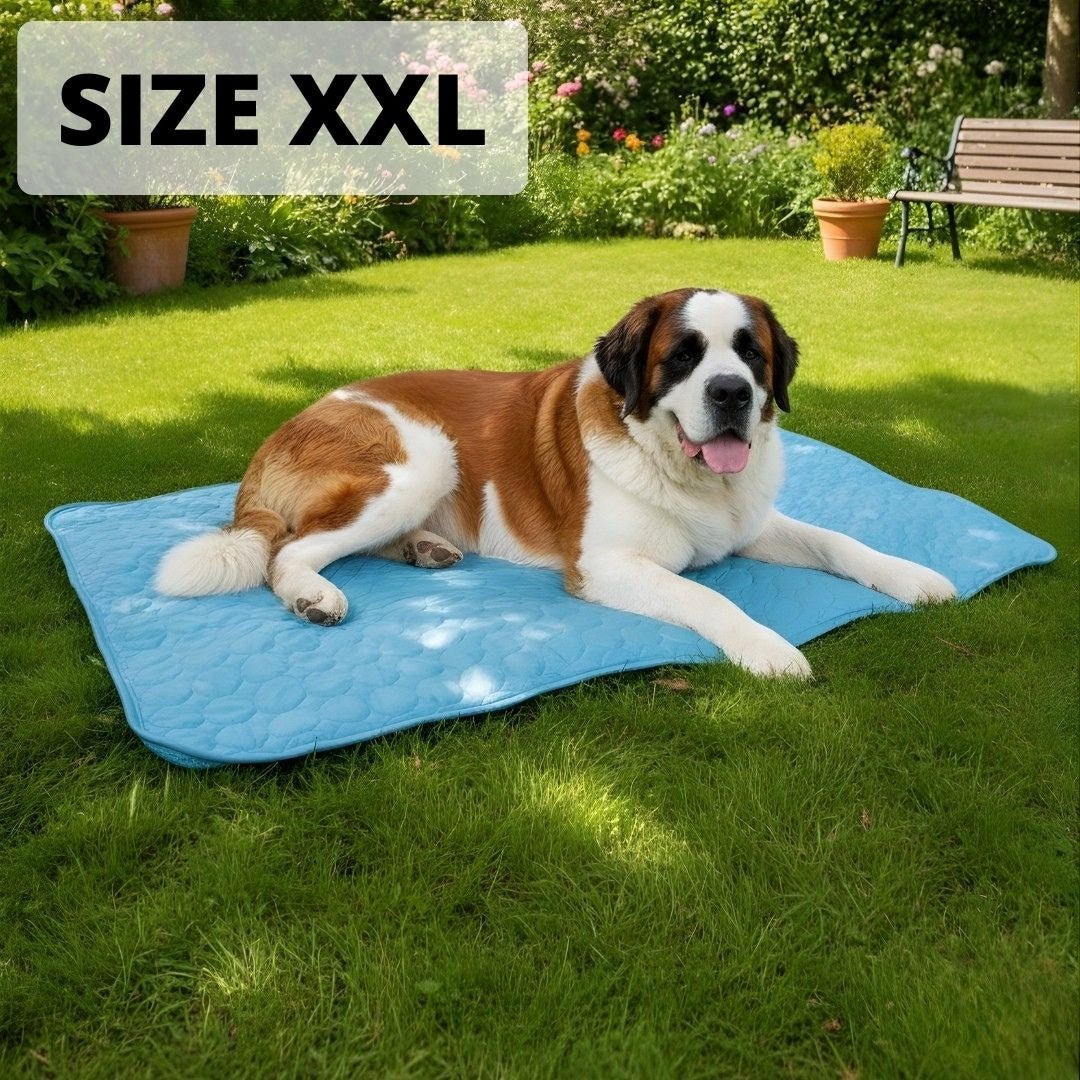 Keep Your Dog Cool and Comfy! 🧊——Cooling Dog Mat