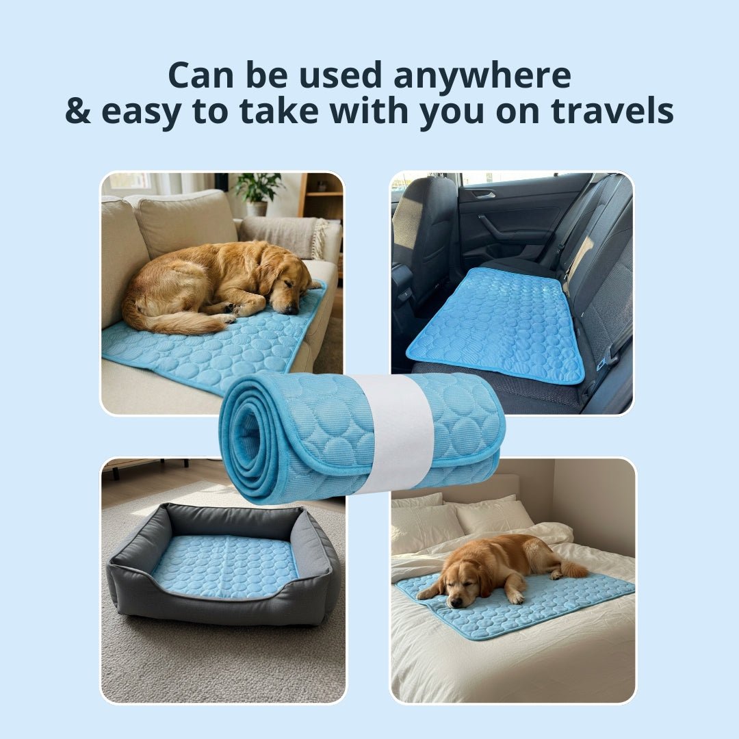 Keep Your Dog Cool and Comfy! 🧊——Cooling Dog Mat
