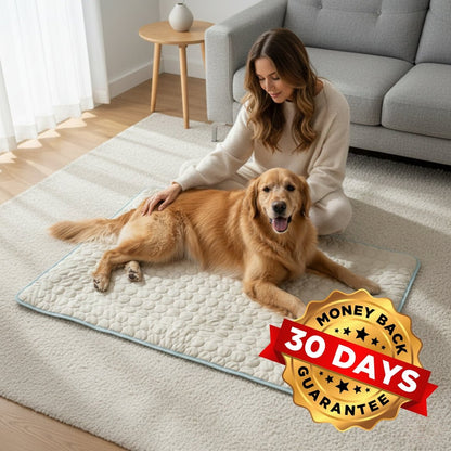 Keep Your Dog Cool and Comfy! 🧊——Cooling Dog Mat