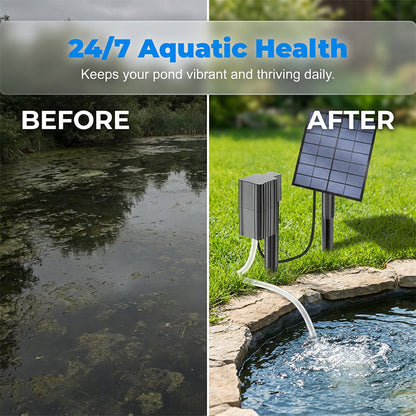 🥳 HOT SALE 2026 🥳 💞 50,000+ SOLD! Solar Fish Pond Aerator with Air Pump for Ponds Outdoor