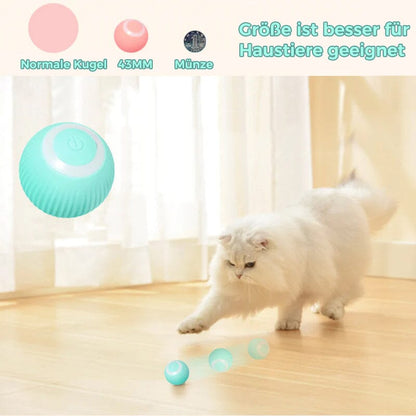 Smart Electric Spinning Cat Toy Ball und Pink Hunting Set