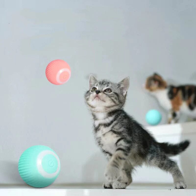 Smart Electric Spinning Cat Toy Ball und Pink Hunting Set