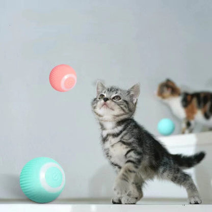 Smart Electric Spinning Cat Toy Ball und Pink Hunting Set