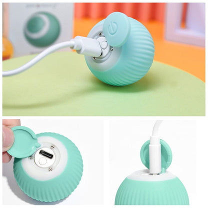 Smart Electric Spinning Cat Toy Ball und Pink Hunting Set